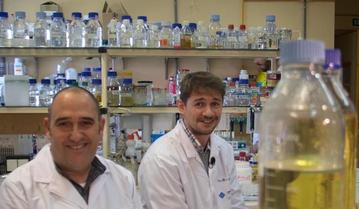 Los microbios marinos ayudan a la biodegradación de aditivos plásticos