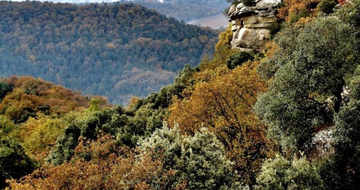 Agria polémica por ley de creación de la ‘Agencia de Patrimonio Natural’ en Catalunya
