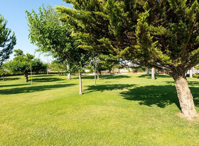 Madrid. El Ensanche de Vallecas cuenta con nueva red de agua regenerada y 28 zonas verdes ajardinadas