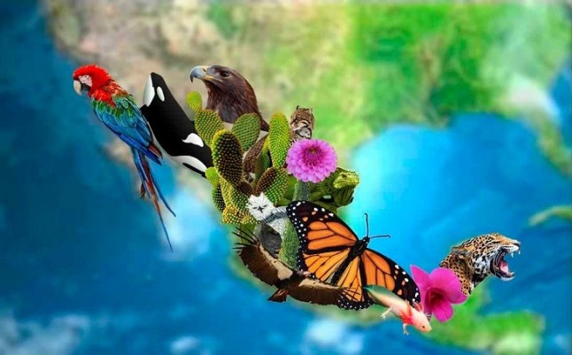 EQUO critica duramente la modificación de la Ley de Biodiversidad