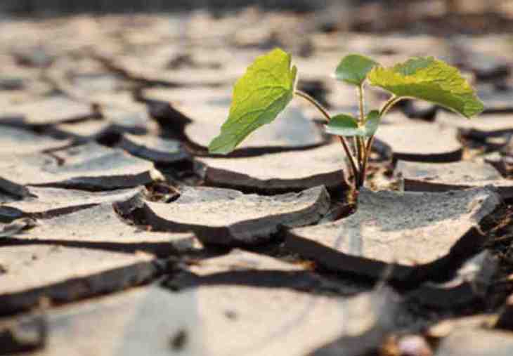23 ayuntamientos de Tenerife se adhieren al Pacto de las Alcaldías para el Clima y la Energía