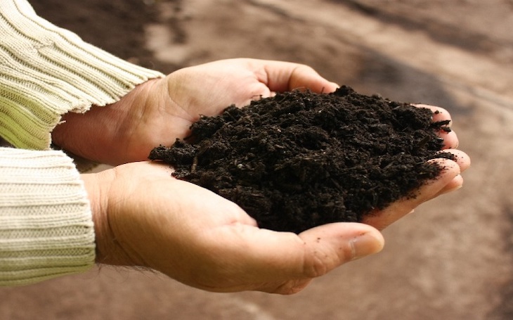 Seis cursos online de maestría en compostaje