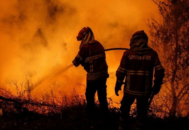 Una docena de personas fueron detenidas en 2017 acusadas de delitos de incendios forestales en Córdoba