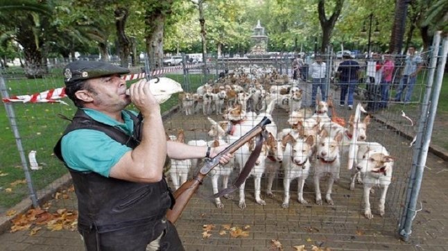 Intercaza se cubre de gloria intoxicando a escolares cordobeses