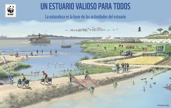 El extraordinario potencial del estuario del Guadalquivir para ser un referente de desarrollo sostenible