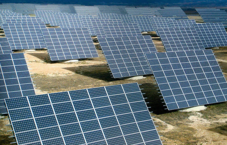 Son Bonet Pulmó Verd entrega al Govern de Baleares 1.300 alegaciones contra el proyecto del parque fotovoltaico