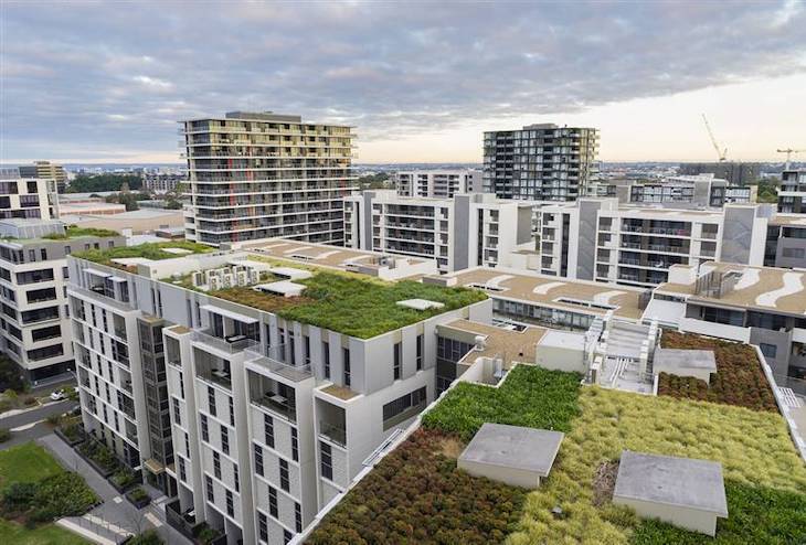 A Barcelona le ‘encantan’ las azoteas verdes y las cuida