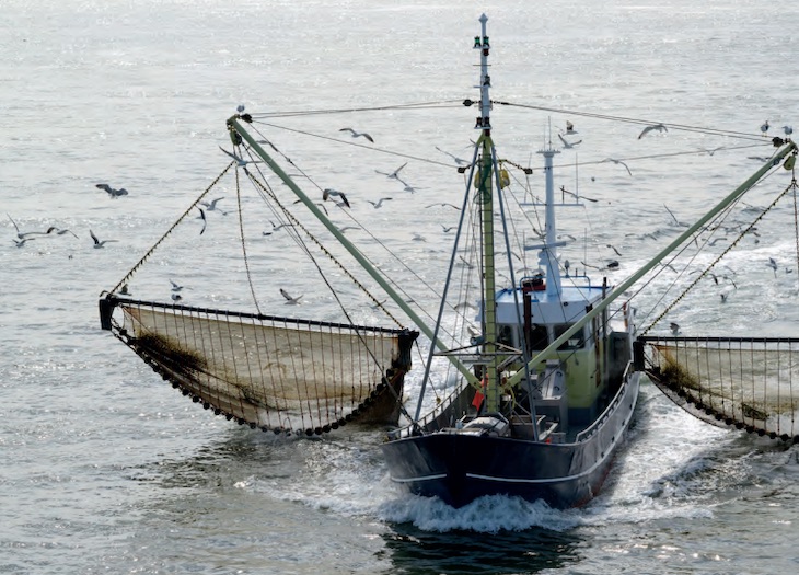 La presión de la pesca ilegal en el Parque Regional Salinas de San Pedro en el Mar Menor