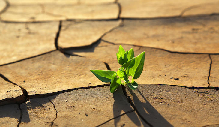 2019 fue el año más cálido en Europa desde que se tienen registros