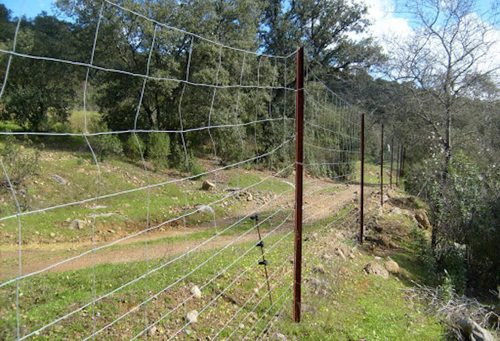 La ‘guinda’ del pastel. Los vallados cinegéticos en Andalucía incumplen la normativa legal