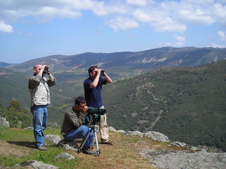 Más de 1.200 personas participaron en el XX maratón ornitológico en 757 puntos de toda España