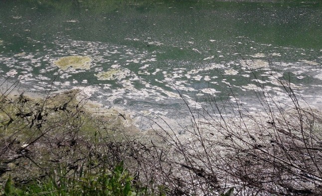 Grave contaminación en todos los ríos del entorno de la mina de Touro