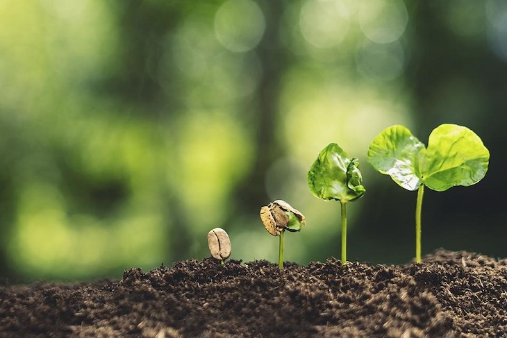 El cuarto Foro Medio Ambiente y Sostenibilidad FSMS se traslada a junio de 2021