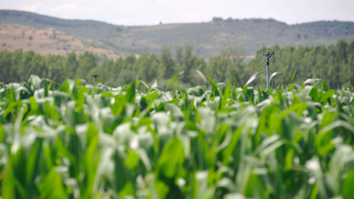 Europa entra en la semana de los recortes a la PAC