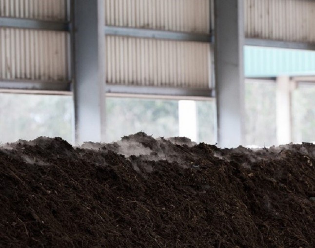 El PP de Sa Pobla rechaza la construcción de una nueva planta de tratamiento de lodos