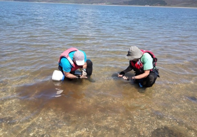 La CHE inicia la campaña veraniega de control larvario de mejillón cebra en los embalses