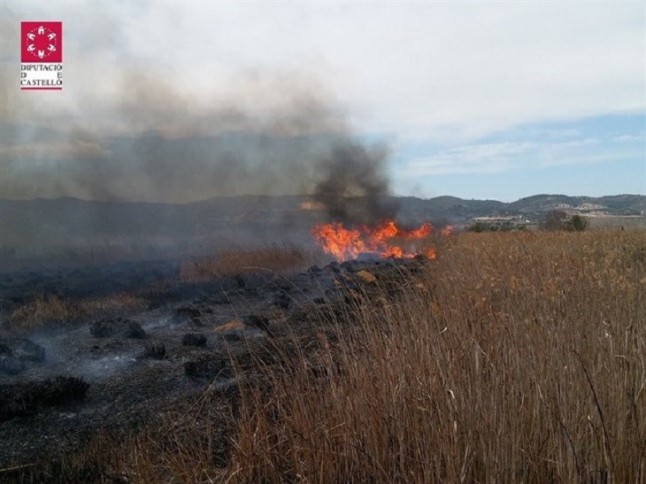 El fuego arrasa 3.848 has en los tres primeros meses de 2018