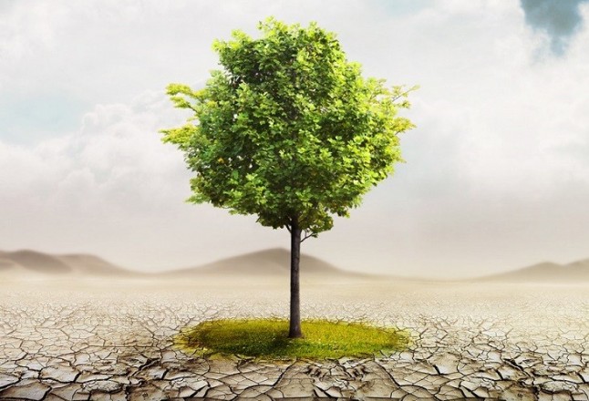 Caos en Podemos Asturies qué pide a sus diputados en el Congreso que voten contra la ley de Cambio Climático de Unidos Podemos