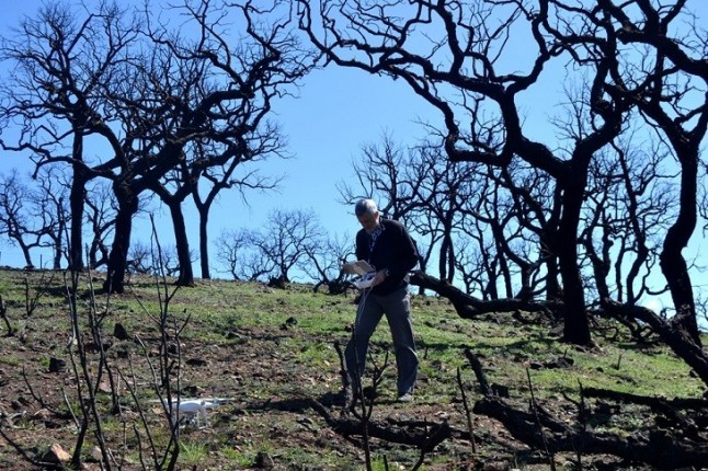 Un experto en pastos visita la zona del incendio de La Granada de Riotinto para un informe