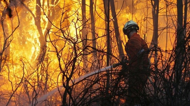 El PP defiende en el Congreso una Estrategia Nacional de Prevención de Incendios Forestales