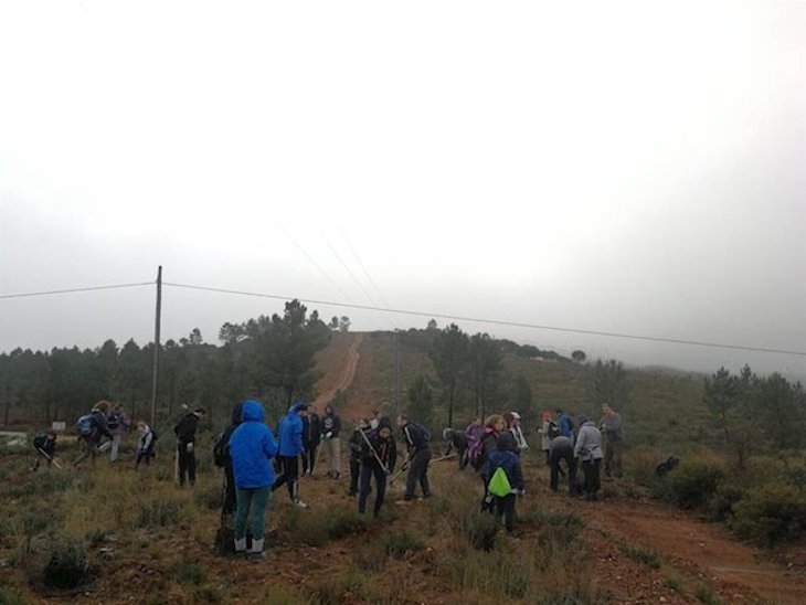 Plantabosques de Adenex se ‘expande’ a Portugal