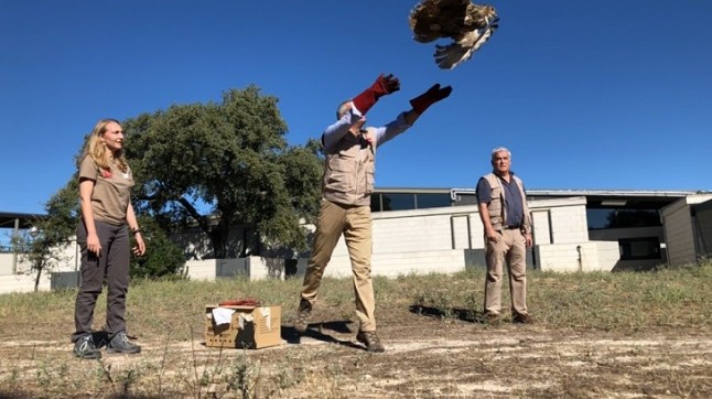 La Comunidad de Madrid atiende cada año a más de 3.300 animales silvestres heridos