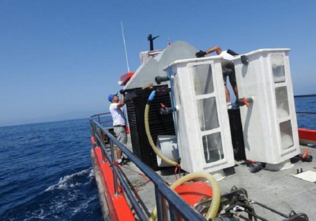 Las microalgas desaparecen de Tenerife y se disuelven casi al completo en Gran Canaria