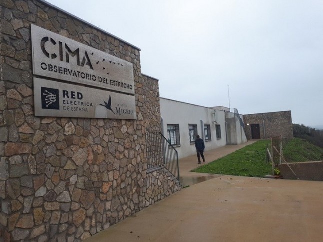 Reunión en Cádiz de la Agencia Internacional de la Energía VS Fauna