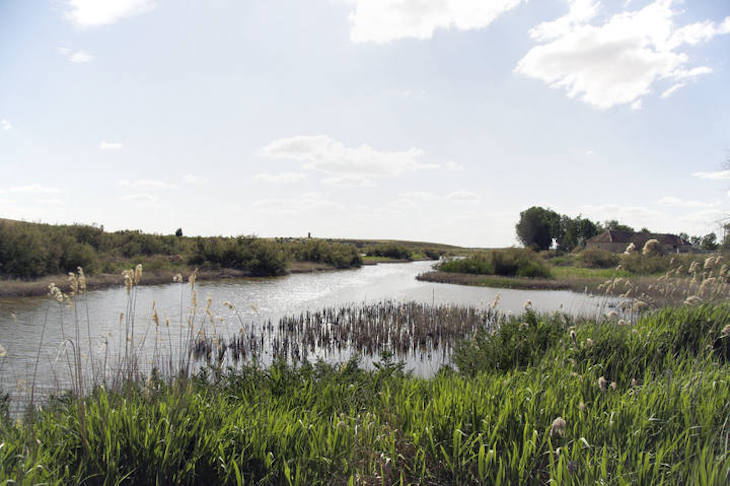 La ‘obvia’ pérdida de biodiversidad en España