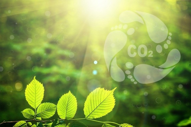 La Fundación Princesa de Asturias compensará la huella de carbono generada por sus actividades