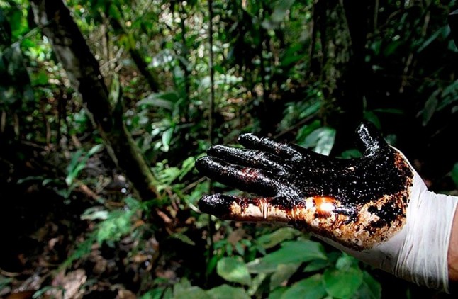 El desastre estratosférico que se avecina al abrir parte de los parques nacionales de Virunga y Salonga a la explotación de petróleo