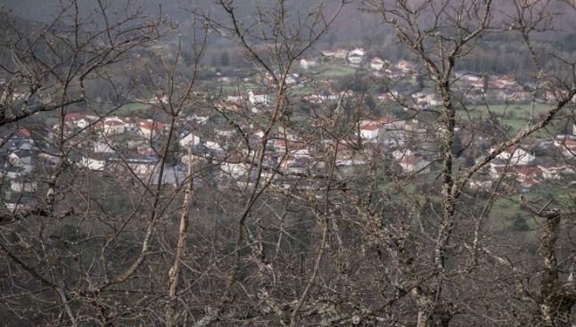 Deshojando la margarita de los posibles incendios forestales este verano