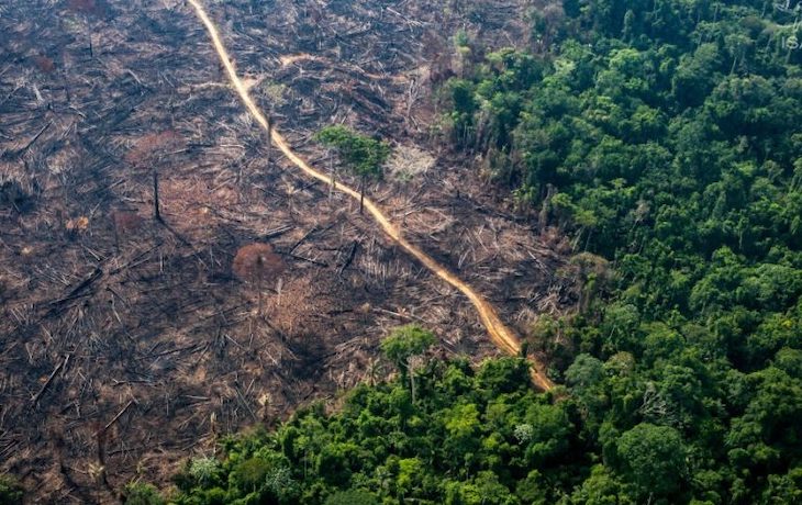 Brasil.- Bolsonaro autoriza el despliegue de tropas en la Amazonía brasileña para luchar contra la deforestación