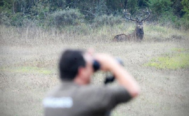 Álava restringe el tránsito rodado por las pistas y caminos de Gorbeia durante la berrea