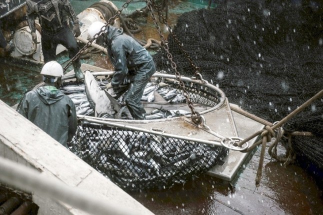 La colaboración entre la Guardia Costera de Liberia y Sea Shepherd resulta en el quinceavo arresto por delitos de pesca