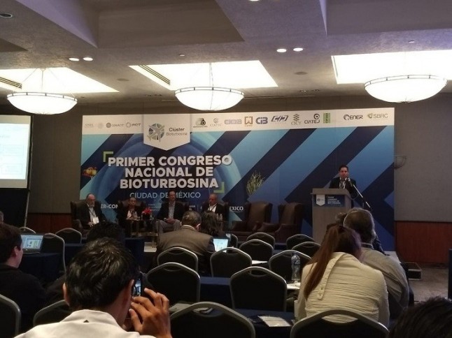 Biocombustibles para la sustentabilidad energética