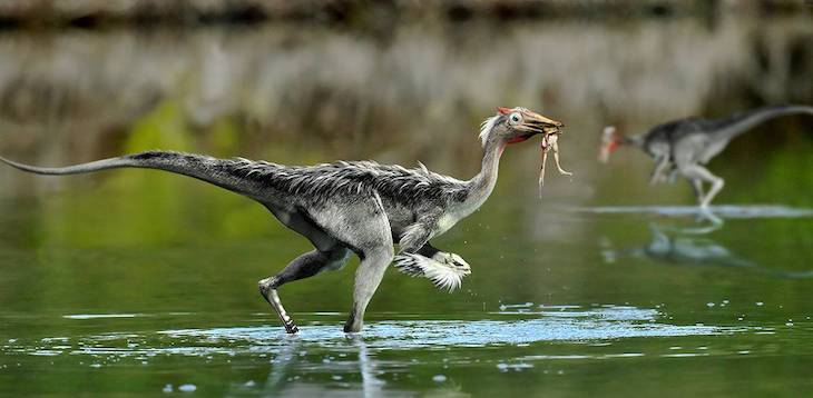 Revolucionando lo que sabíamos está el dinosaurio de Cuenca
