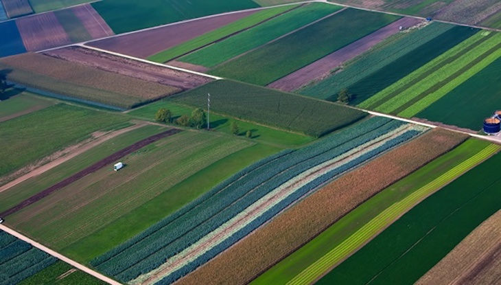 La agricultura podría devolver el 50% de las tierras de cultivo a la naturaleza y mantener su producción