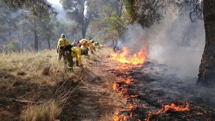 Un ‘delincuente’ condenado por provocar un incendio forestal en Felix (Almería)
