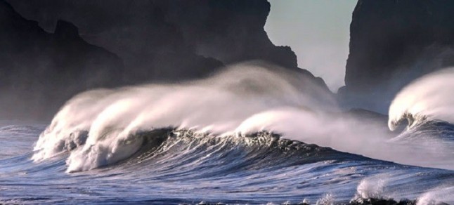 Qué es el ruido oceánico y cómo afecta a los animales marinos