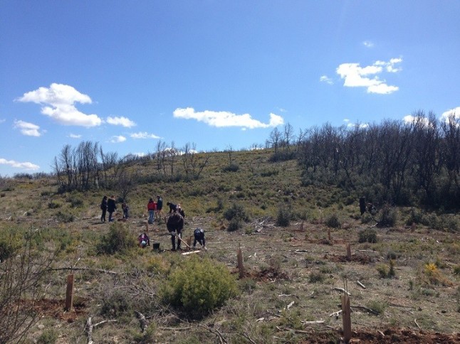 Conoces el Bosque de Correos en Valencia