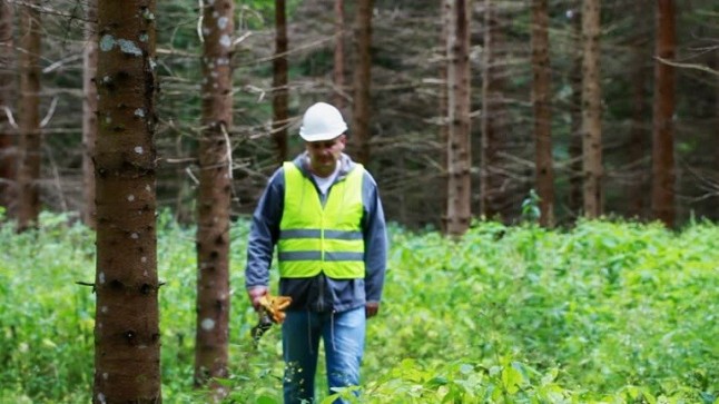 Andalucía valora los Planes de Gestión de montes durante la Asamblea del Colegio Nacional de Ingenieros Forestales