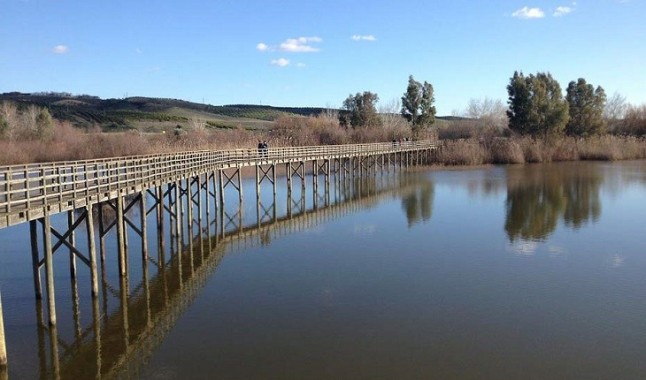 El corredor verde: Puede dar una relevancia casi internacional al parque del Turia