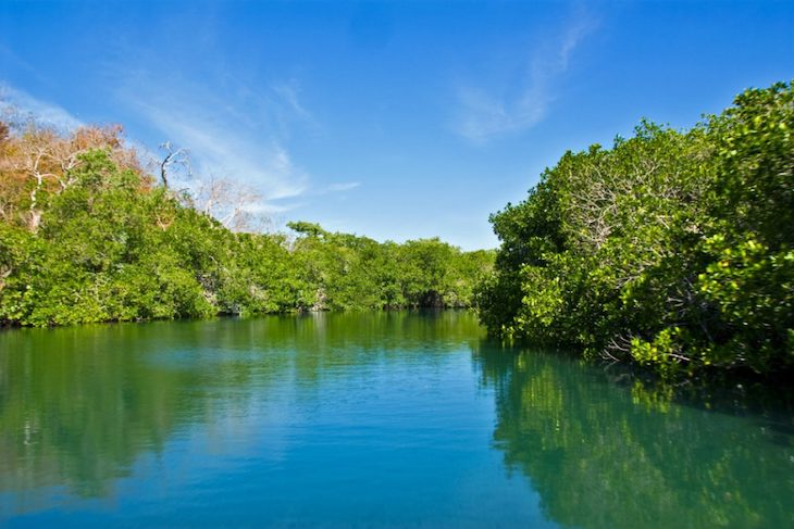 España destina cientos de millones a la conservación y restauración de los ecosistemas