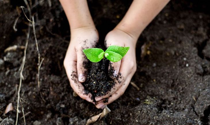 Bilbao se apunta al ‘Día del Medio Ambiente’