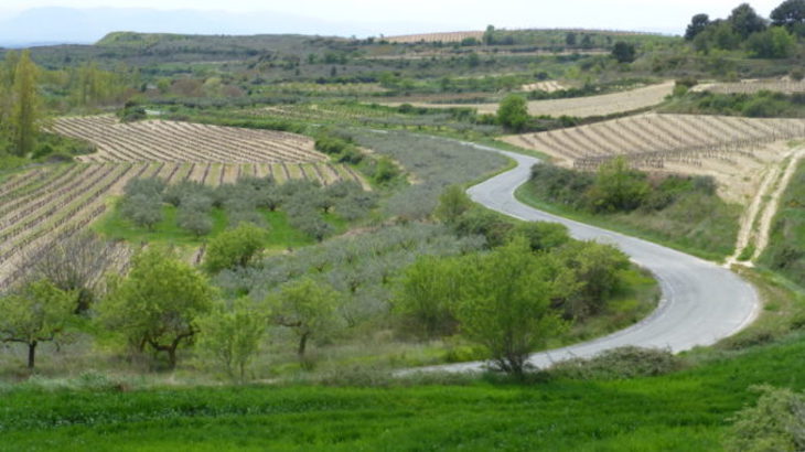 Consejo Navarro de Medio Ambiente