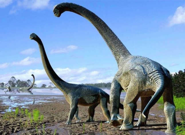 Más pruebas de que Alaska fue una autopista para los dinosaurios