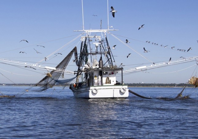 Oceana lamenta que los ministros de Pesca de la UE no hayan avanzado hacia una pesca sostenible en el Atlántico en 2019