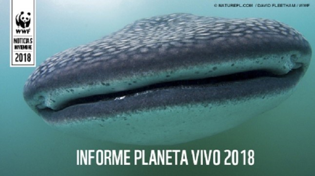 Las poblaciones de vertebrados han disminuido un 60% en menos de 50 años