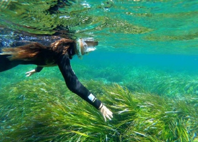 Formentera acogerá el Posidonia Forum que abordará el desarrollo turístico sostenible